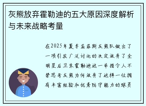 灰熊放弃霍勒迪的五大原因深度解析与未来战略考量
