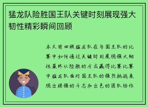 猛龙队险胜国王队关键时刻展现强大韧性精彩瞬间回顾